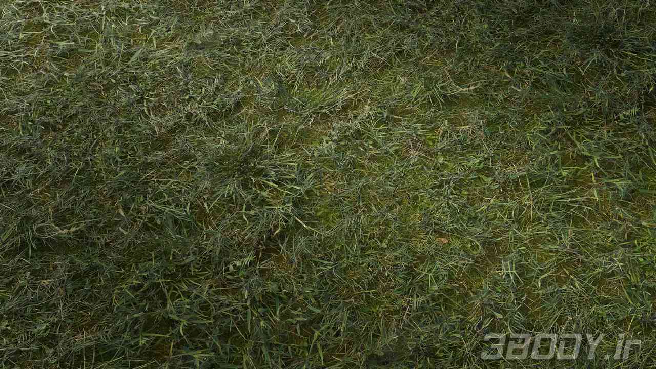 متریال چمن uncut grass عکس 1